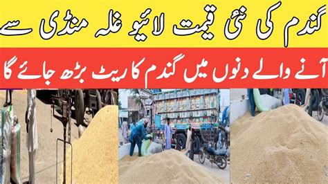 Wheat Price Today Update Mian Channu Galla Mandi Men Gandam Price