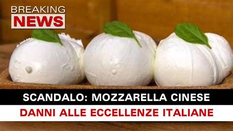 Mozzarella Cinese Scandalo Danni Alle Eccellenze Italiane Breaking