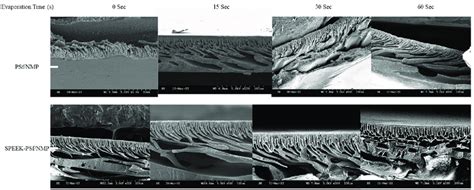 Sem Cross Sectional Images Of Psf Nmp And Speek Psf Nmp Membranes At