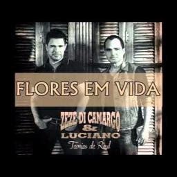 Flores em vida Song Lyrics and Music by Zezé di camargo e Luciano