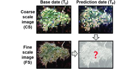 Illustration Of The Basic Concept Of Spatio Temporal Image Fusion