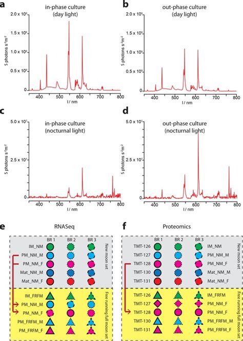 Figures And Data In Combined Transcriptome And Proteome Profiling