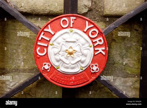 White rose york emblem city hi-res stock photography and images - Alamy