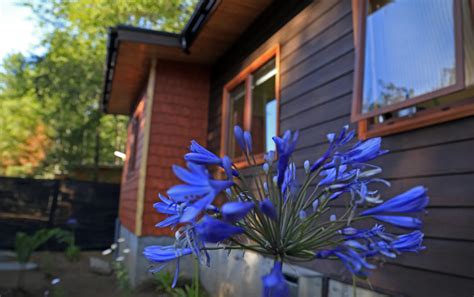 Ficha Cabañas Bosques de Loncotraro Ubicado en Camino Villarrica