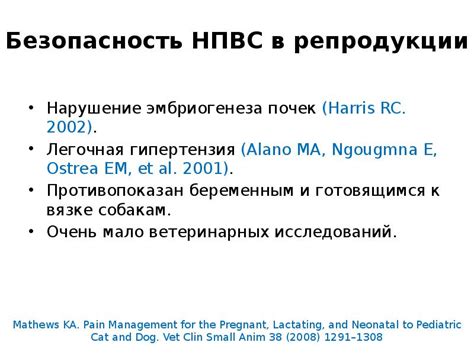 Рациональное использование НПВС у собак. Безопасность и эффективность