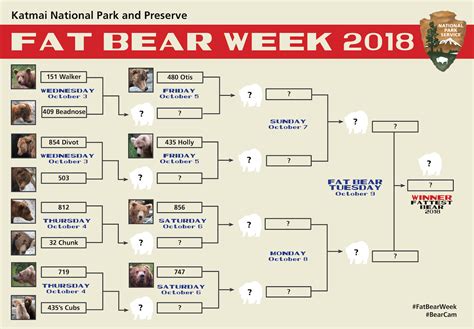 Fat Bear Week First Round Matchups: A Preview | Explore