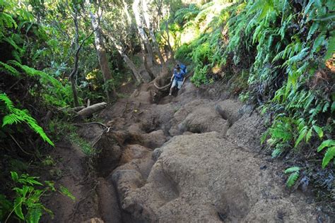 Kauai Top 10+ Hiking Trails + Map | Best Hikes on Kauai Hawaii