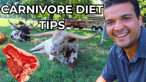 Carnivore Diet Top 10 Important Tips For Beginners Checkoutdiets