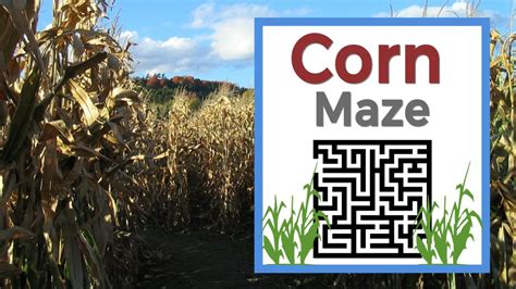 Corn Maze | Can you find your way out? | 101 Creative Dates