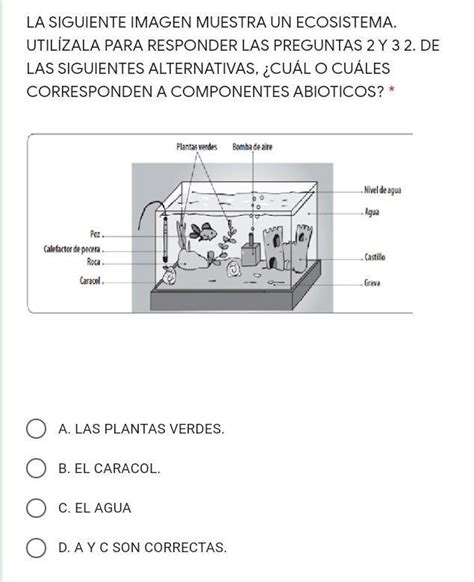 Ayuda Porfiiis Y Si No Saben No Respondan Brainly Lat