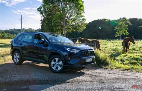 2019 Toyota RAV4 GX Hybrid review (video) – PerformanceDrive