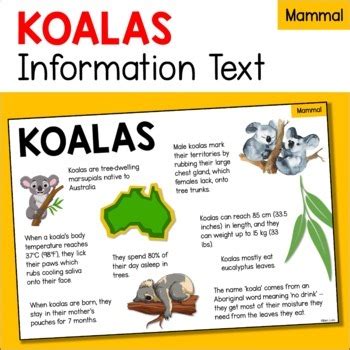 Koala Animal Fact Sheet - Diet, Habitat, Features, Size etc - Mammals