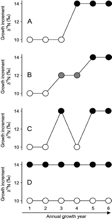 Conceptual Model Of Predicted Ontogenetic Shift Patterns For Juvenile