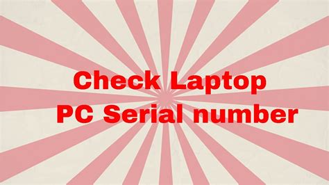 How To Check Laptop Or Pc Serial Number Youtube