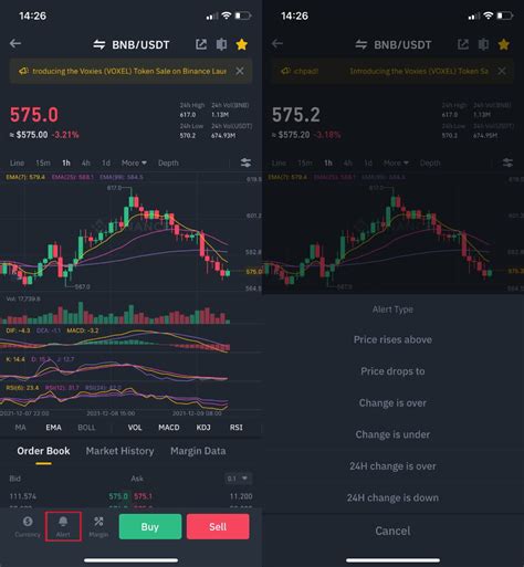 Comment Mettre En Place Une Alerte Sur Binance Binance Support