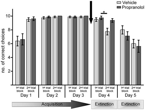 Antagonism of β adrenergic receptors prevents extinction learning in