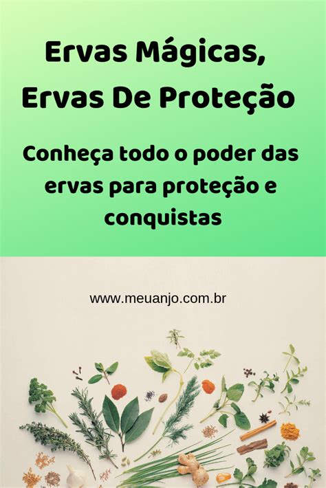 Ervas mágicas ervas de proteção Ervas Ervas mágicas Banho de ervas