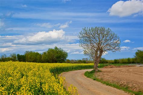 Spain Countryside Photograph by Albert Tan photo