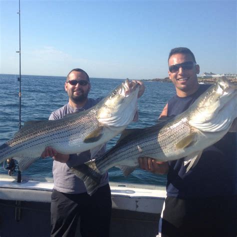 2 Big Striped Bass Connemara Bay Charters