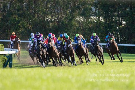 【競馬写真】2018年 第79回菊花賞gi フィエールマン