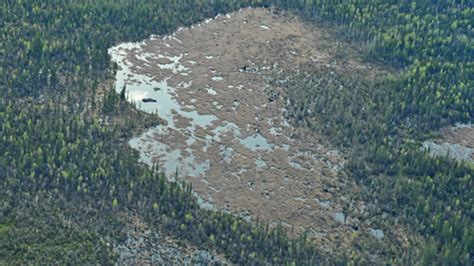 World’s Longest Beaver Dam Is in Canada, Can Be Seen From Space | The ...