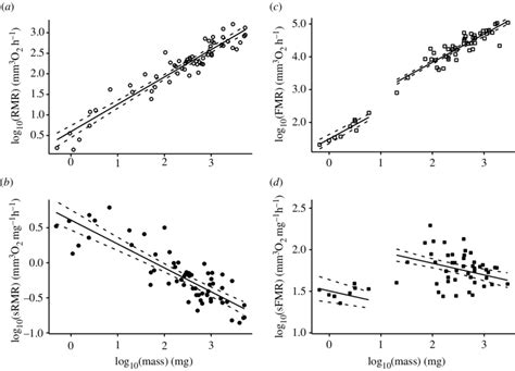 Allometric Scaling Of Resting Rmr And Flight Metabolic Rates Fmr