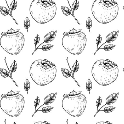 Vintage Seamless Pattern With Hand Drawn Persimmon Fruits And Leaves