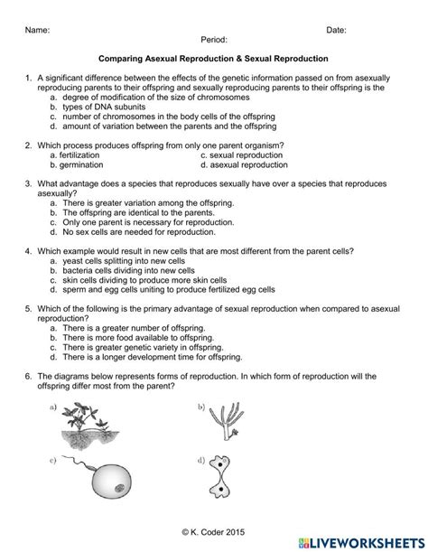 Sexual Vs Asexual Reproduction 4973987 Allen28 Live