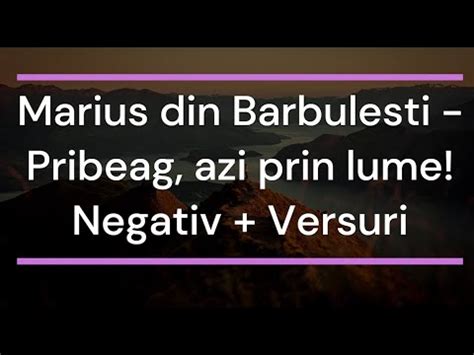 Marius Din Barbulesti Pribeag Azi Prin Lume Negativ Versuri Youtube