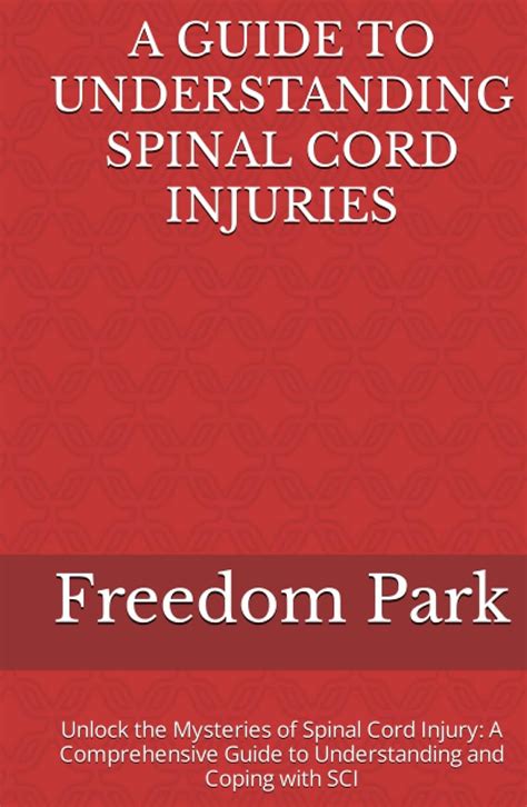 A Guide To Understanding Spinal Cord Injuries Unlock The Mysteries Of