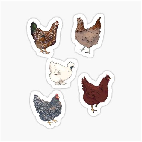 Stickers Labels Tags Paper Party Supplies Naked Neck Silkie Car