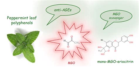 Molecules Free Full Text In Vitro Antiglycation And Methylglyoxal