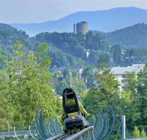 Alpine Mountain Coaster - Rowdy Bear Mountain in Gatlinburg