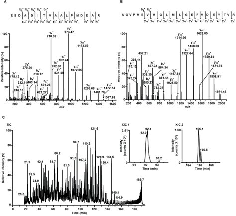 Tandem Mass Spectra Of M Z 902 42 Corresponding To The M 2h 2 Of The Download Scientific