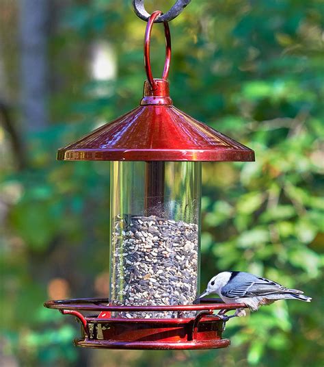 Bird Feeders | Bird feeders, Unique bird feeders, Bird