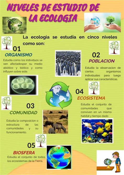 INFOGRAFIA ECOLOGIA