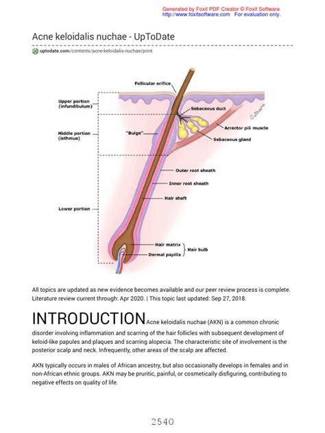 Acne Keloidalis Nuchae | PDF | Topical Medication | Scar