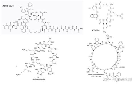 构建可针对任何蛋白质靶标的环肽库二多肽噬菌体展示技术 知乎