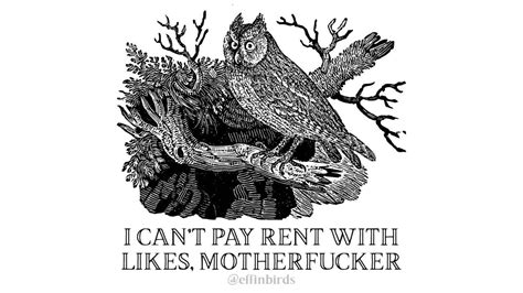 Today's Effin’ Bird : r/effinbirds