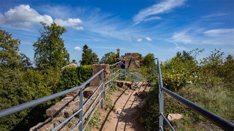 Ch Teau Du Falkenstein Sunhikes