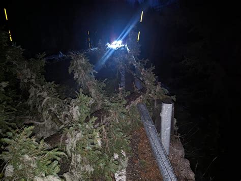 Caduta Alberi E Vento Chiusa La Statale Del Passo Fedaia Da Penia Alla