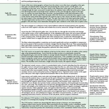 Trigeminal Nerve Disorders | Neupsy Key