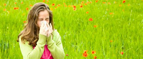 Air purifiers for hay fever: Stay safe this allergy season – Ionmax