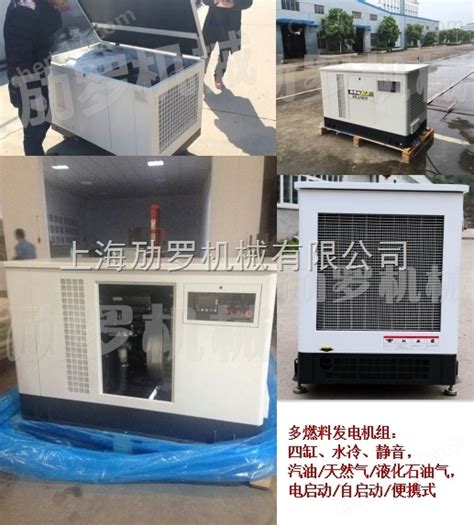 Ml20kw 三相20kw低噪音汽油发电机 化工仪器网