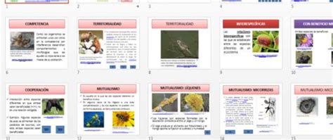 Diapositivas De La Presentación Sobre Las Interacciones Ecológicas Download Scientific Diagram