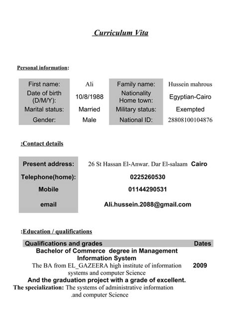 CV Ali Hussein PDF