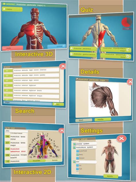 12 Best Anatomy Apps For Android And Ios Free Apps For Android Ios Windows And Mac