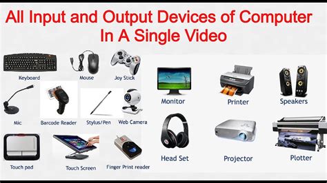 Input And Output Devices Of Computer Youtube