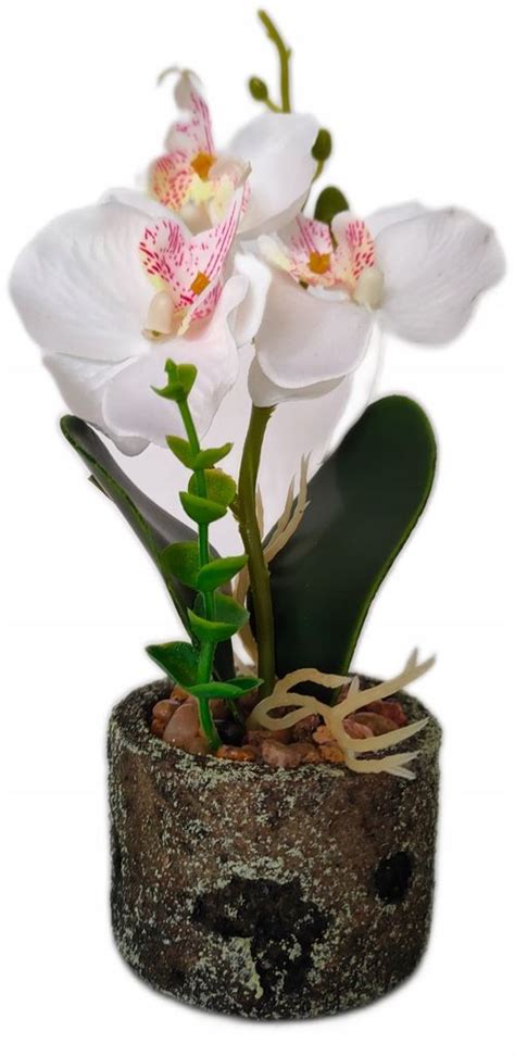 Storczyk Orchidea W Doniczce Sztuczne Kwiaty 23 Cm ERLI Pl