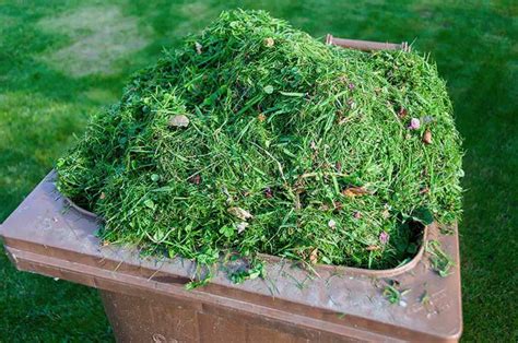 Grass Clippings As Compost Complete Guide